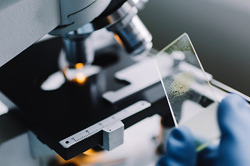 Image showing Crop hands holding glass for microscope