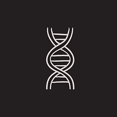 Image showing DNA sketch icon.