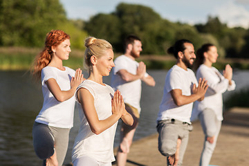 Image showing people making yoga in tree pose on mat outdoors