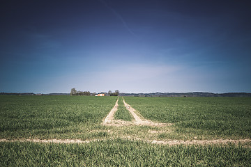 Image showing Countryside field with tire tracks