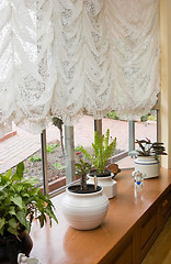 Image showing Window Sill