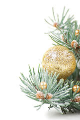 Image showing Christmas decorations with branch of tree on white