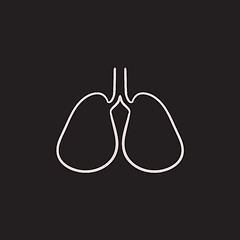 Image showing Lungs sketch icon.