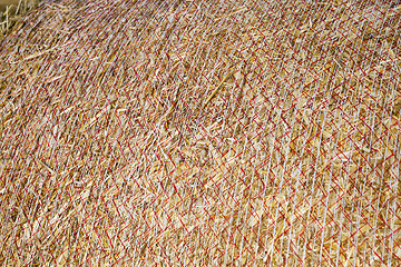 Image showing stack of straw in the field