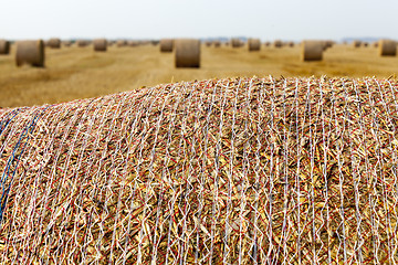 Image showing stack of straw in the field