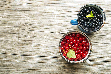 Image showing Blueberries and redcurrant