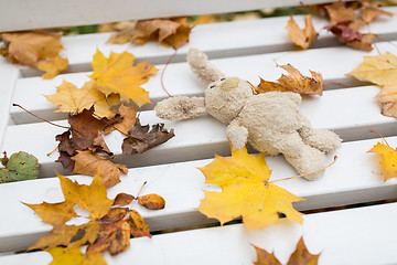 Image showing toy rabbit on bench in autumn park