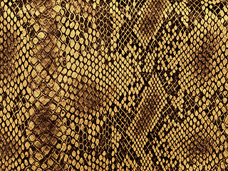 Image showing snake skin pattern