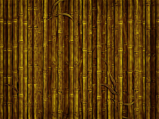 Image showing bamboo forest