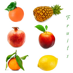 Image showing Fruits