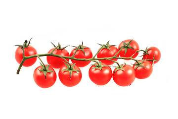 Image showing cherry tomatoes isolated