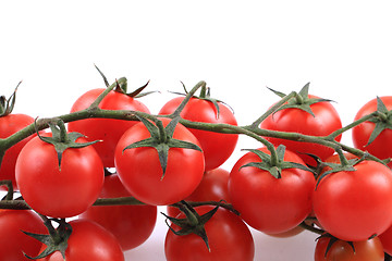 Image showing cherry tomatoes isolated