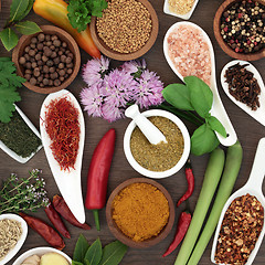 Image showing Fresh and Dried Herb and Spice Collection