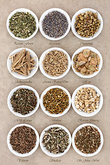 Image showing Calming and Sleeping Herb Selection 