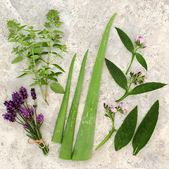Image showing Fresh Herbs for Skin Care