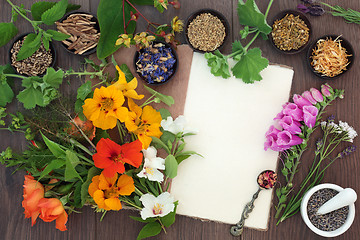 Image showing Medicinal Herb and Flower Selection