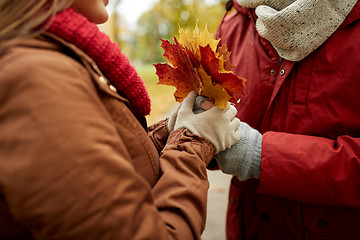 Image showing close up of happy couple with autumn maple leaves