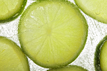 Image showing Lime slices in ice