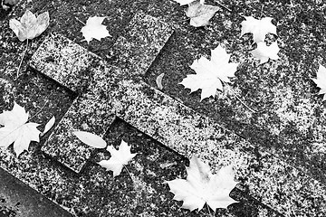 Image showing Christian grave in moss and autumn leaves.