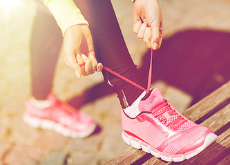 Image showing runner woman lacing trainers shoes