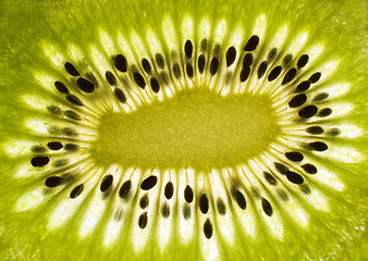 Image showing kiwi