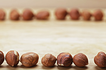 Image showing Hazelnuts in opposite rows