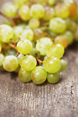 Image showing Bunch of grapes