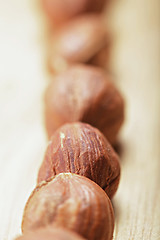 Image showing Hazelnuts in a row