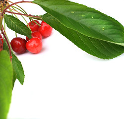 Image showing cherries