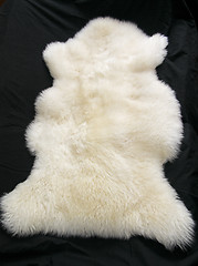 Image showing White Fur