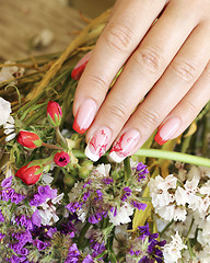 Image showing Beautifully manicured fingernails