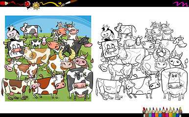 Image showing cow characters coloring book