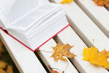 Image showing open book and autumn leaves on park bench