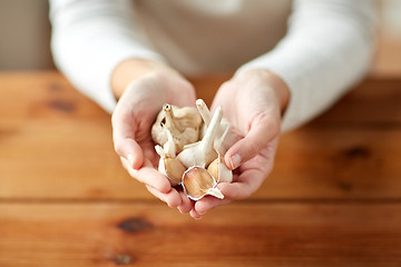 Image showing close up of woman hands holding garlic