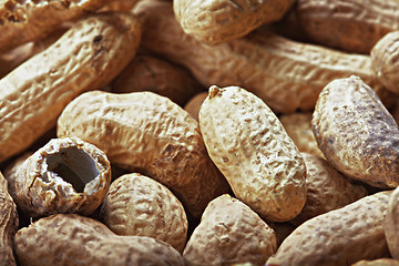 Image showing Peanuts in shells