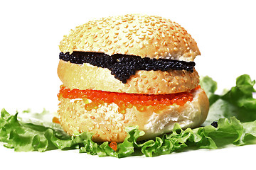 Image showing Caviar burger against white