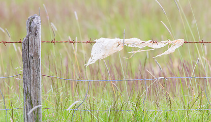 Image showing Unpleasant barbed wire with rags