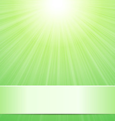 Image showing Nature Green Sunny Background