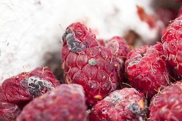 Image showing mold on the raspberries