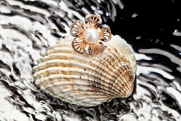 Image showing Ring And Shell