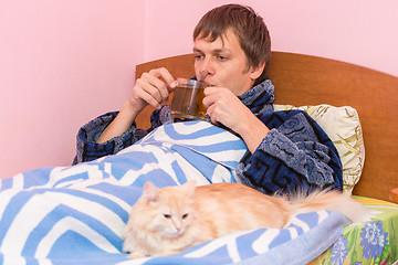 Image showing A sick man lying in bed and drinking tea, lies next to the cat