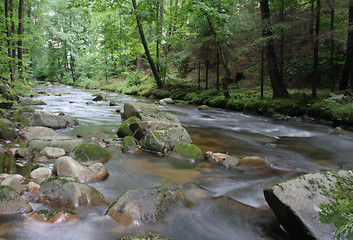 Image showing czech forest