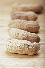 Image showing Row of peanuts in shells