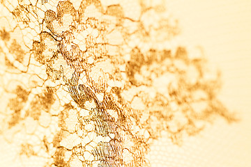 Image showing Special lace