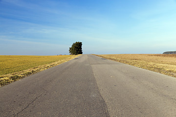 Image showing rural road, tree
