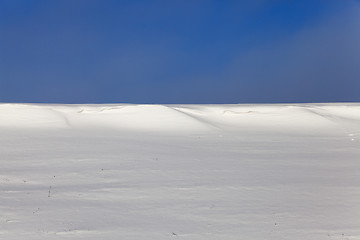 Image showing agriculture field in winter