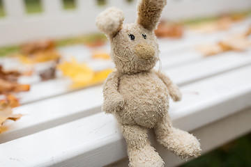 Image showing toy rabbit on bench in autumn park