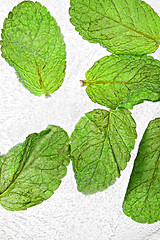 Image showing Mint leaves in ice