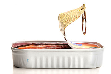 Image showing Tinned anchovy