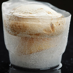 Image showing Mushroom in ice